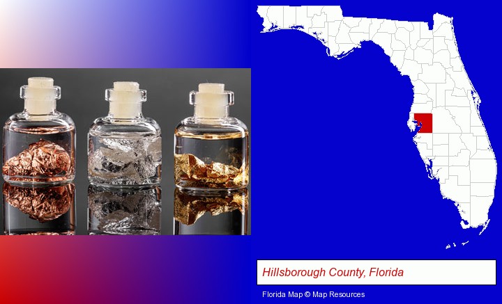 gold, silver, and copper nuggets; Hillsborough County, Florida highlighted in red on a map