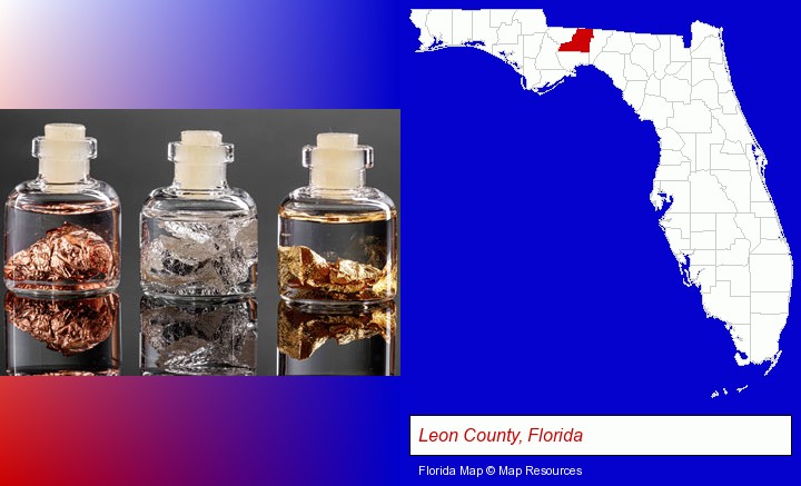 gold, silver, and copper nuggets; Leon County, Florida highlighted in red on a map